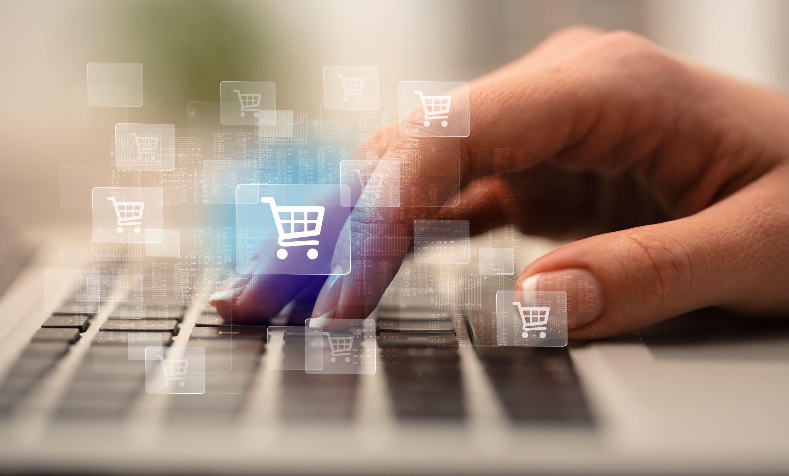 Fulfillment & digitale Onlineshop-Anbindung in Rostock